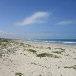 Secret Harbour Beach, Western Australia. Photo: Calistemon/Wikimedia Commons, licensed under CC BY-SA 4.0. Image resized for web publication