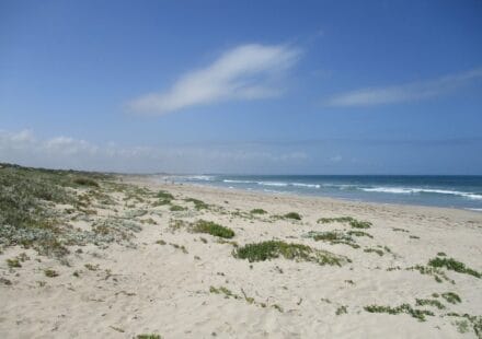 Secret Harbour Beach, Western Australia. Photo: Calistemon/Wikimedia Commons, licensed under CC BY-SA 4.0. Image resized for web publication