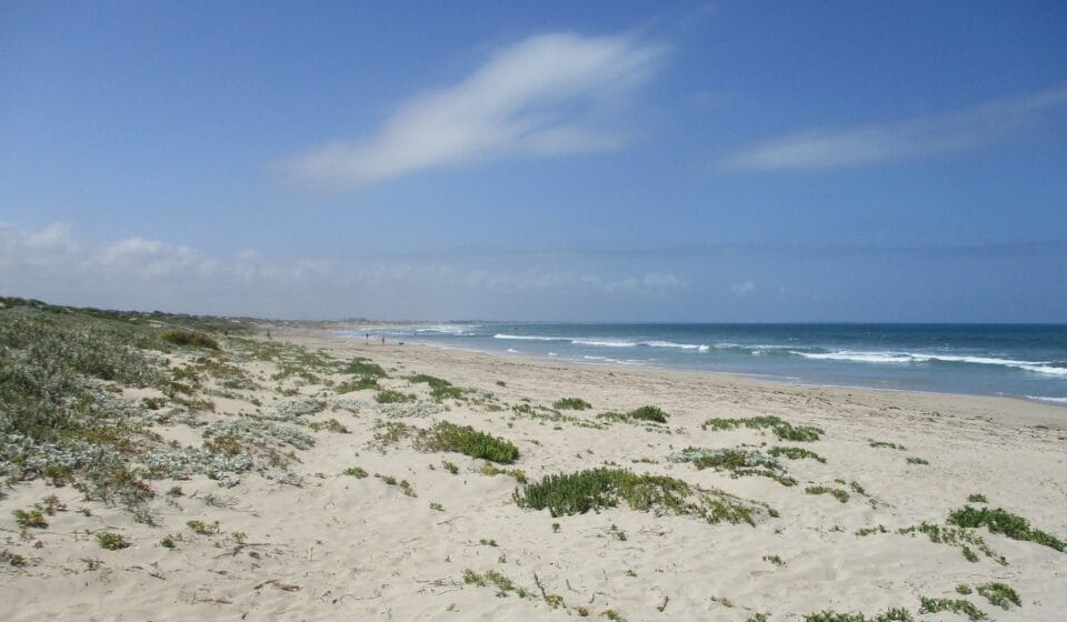 One Nation’s Secret Harbour Candidate Faces Questions Over Drug Use, Speeding Video and Party Vetting Secret Harbour Beach, Western Australia. Photo: Calistemon/Wikimedia Commons, licensed under CC BY-SA 4.0. Image resized for web publication