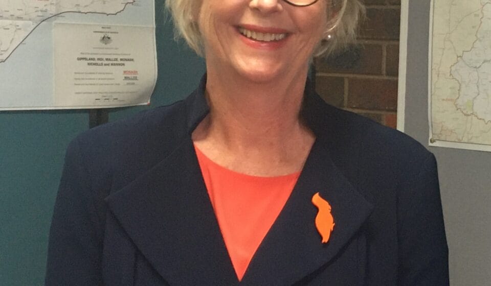 The attack on Helen Haines must change how Australia does politics photo of Helen Haines by Alison Newman